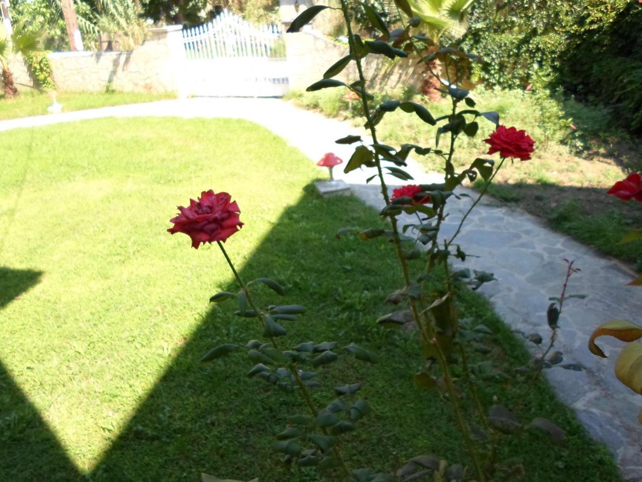 Hotel Villa Basil Planos Exterior foto